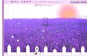 逃离粉红岛