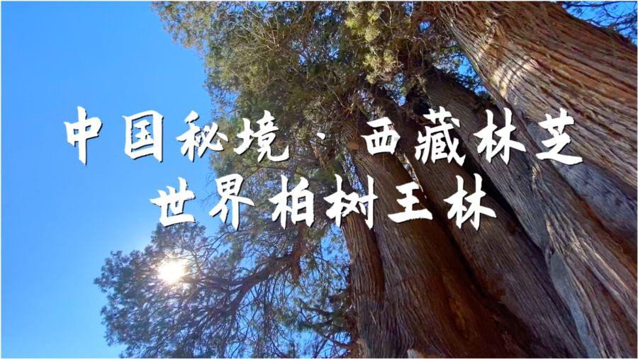 轩辕剑4